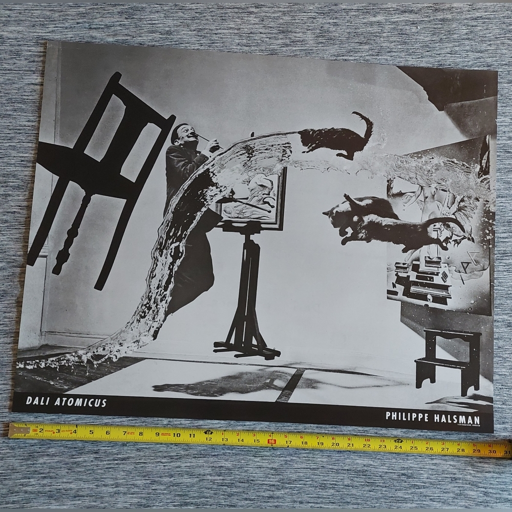 Salvador Dali 24x30 Poster- Dali Atomicus
